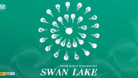 ticket swan lake (1)